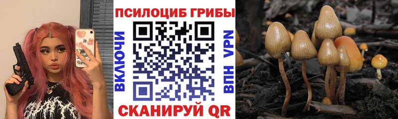 закладка  Чудово  Псилоцибиновые грибы GOLDEN TEACHER 