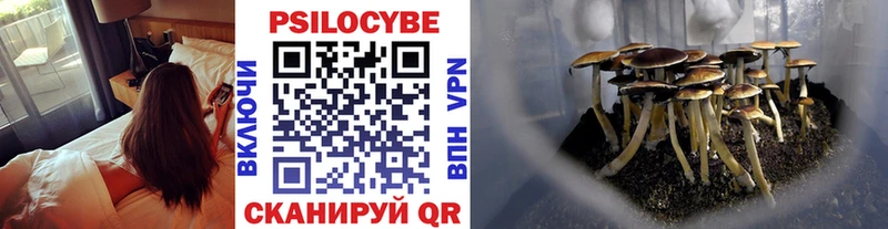 Псилоцибиновые грибы прущие грибы Чудово